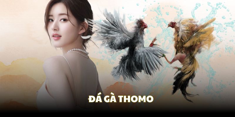 đá gà Thomo